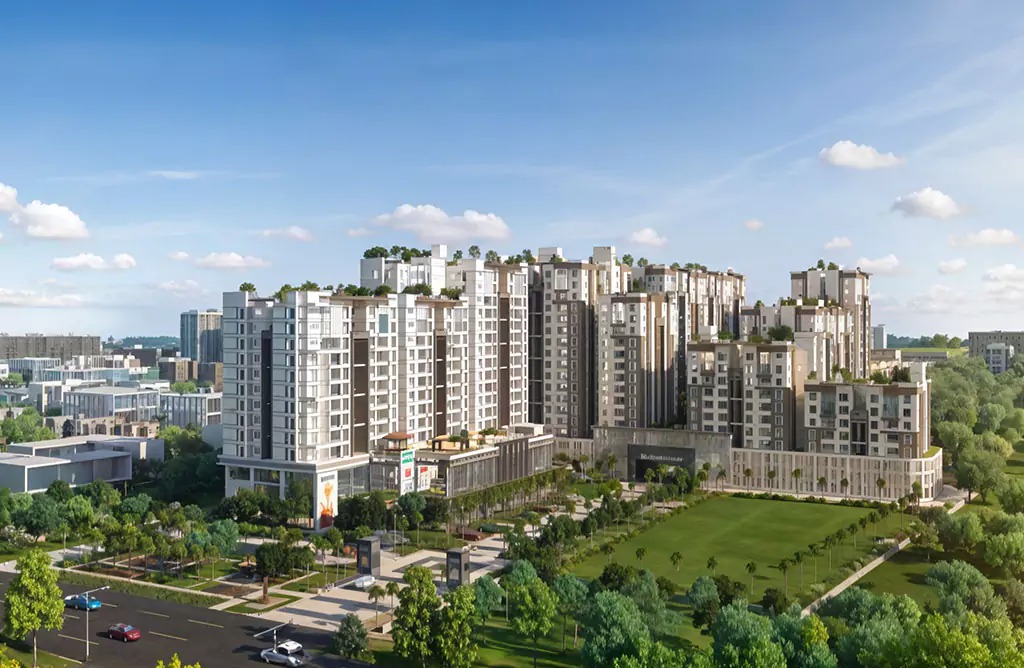 WhatsApp Image 2026 02 25 at 15.18.19