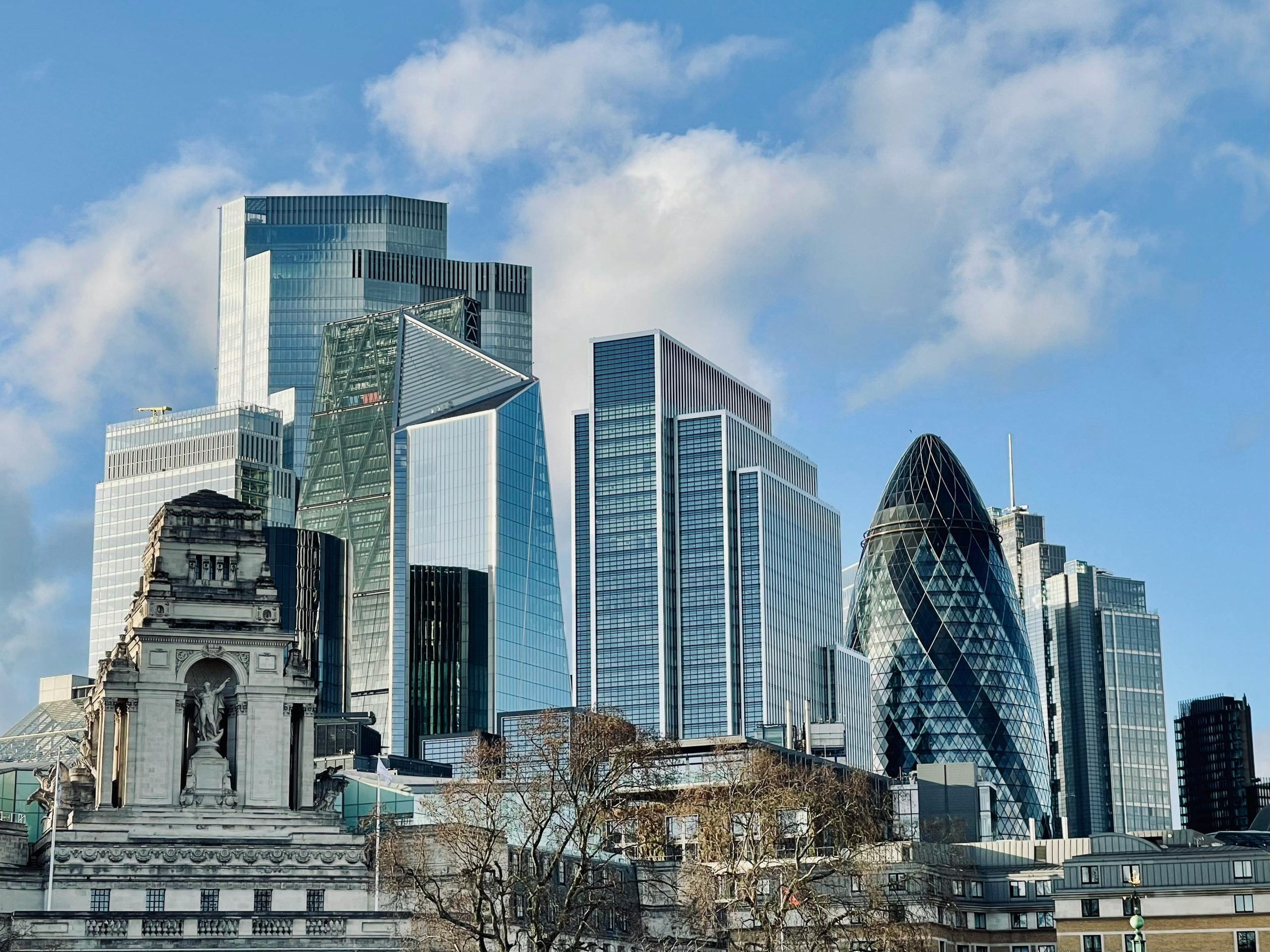 pexels anna rynkowska 118639719 31086302 scaled